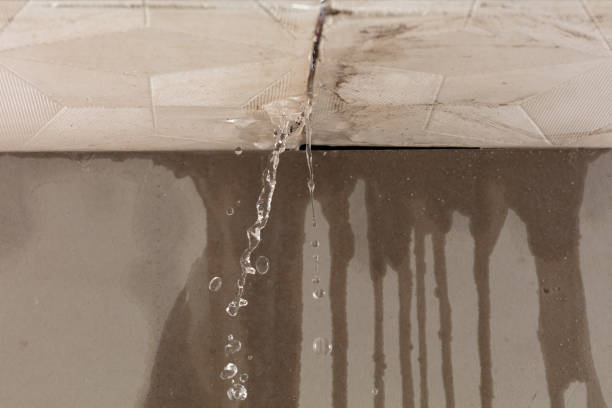 Professional Water Damage Repair technician working in Ionia, MI